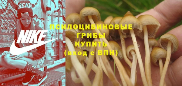 скорость Покачи