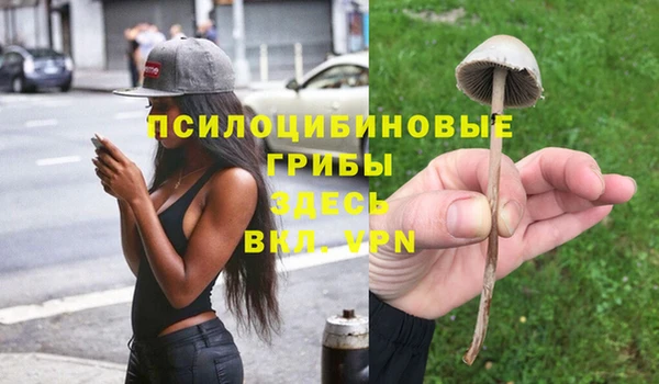 шишки Покровск