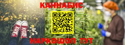 гашик Аргун