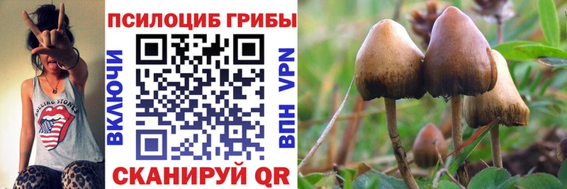 Псилоцибиновые грибы мухоморы  Баксан 
