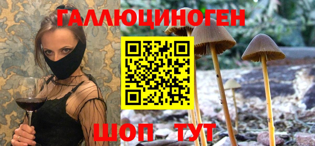 Галлюциногенные грибы Cubensis Баксан