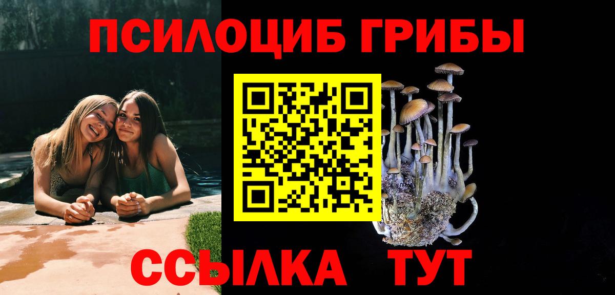 Галлюциногенные грибы MAGIC MUSHROOMS  закладка  Баксан 