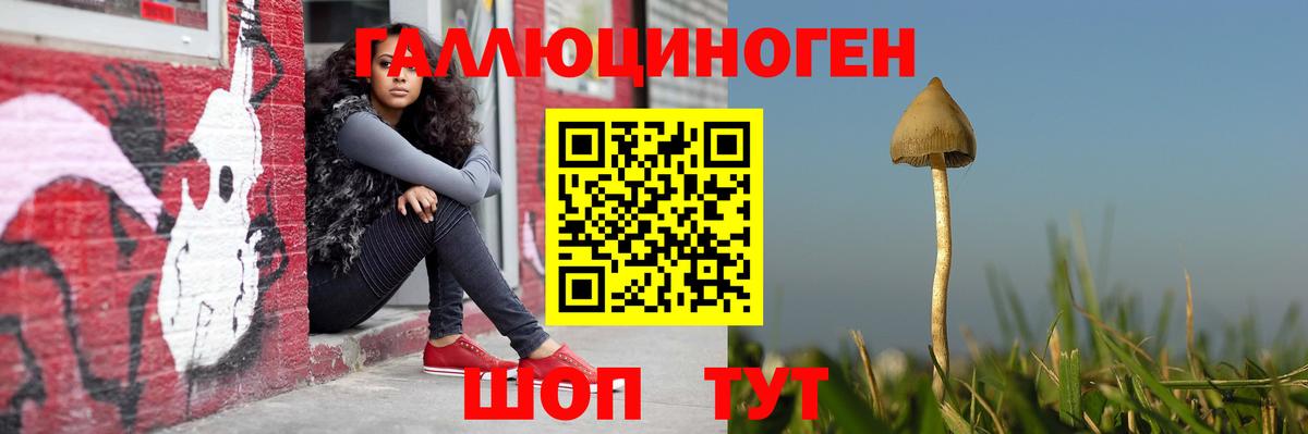 Галлюциногенные грибы MAGIC MUSHROOMS  Вход с VPN  Баксан 
